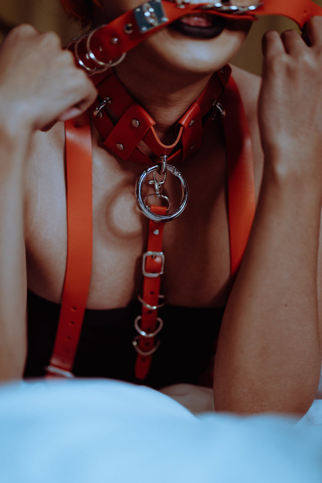 hot in lingerie harness